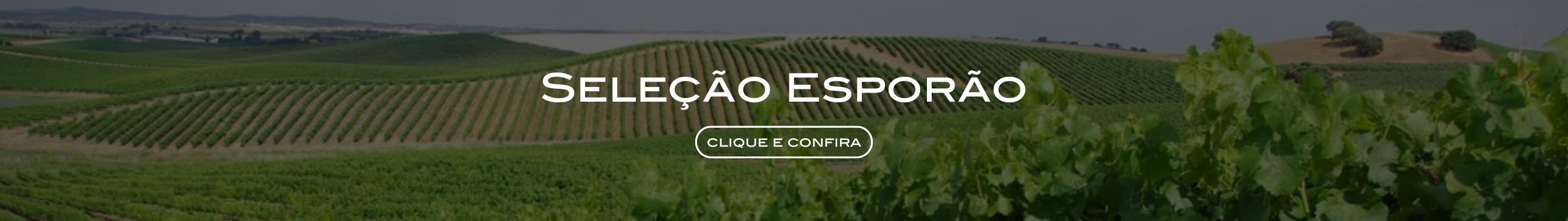 Seleção Esporão - DESKTOP