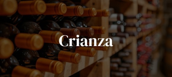 Crianza
