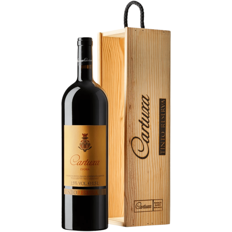 Product main image - 336f59c0-2368-4e0e-a30d-c76c090fdc43