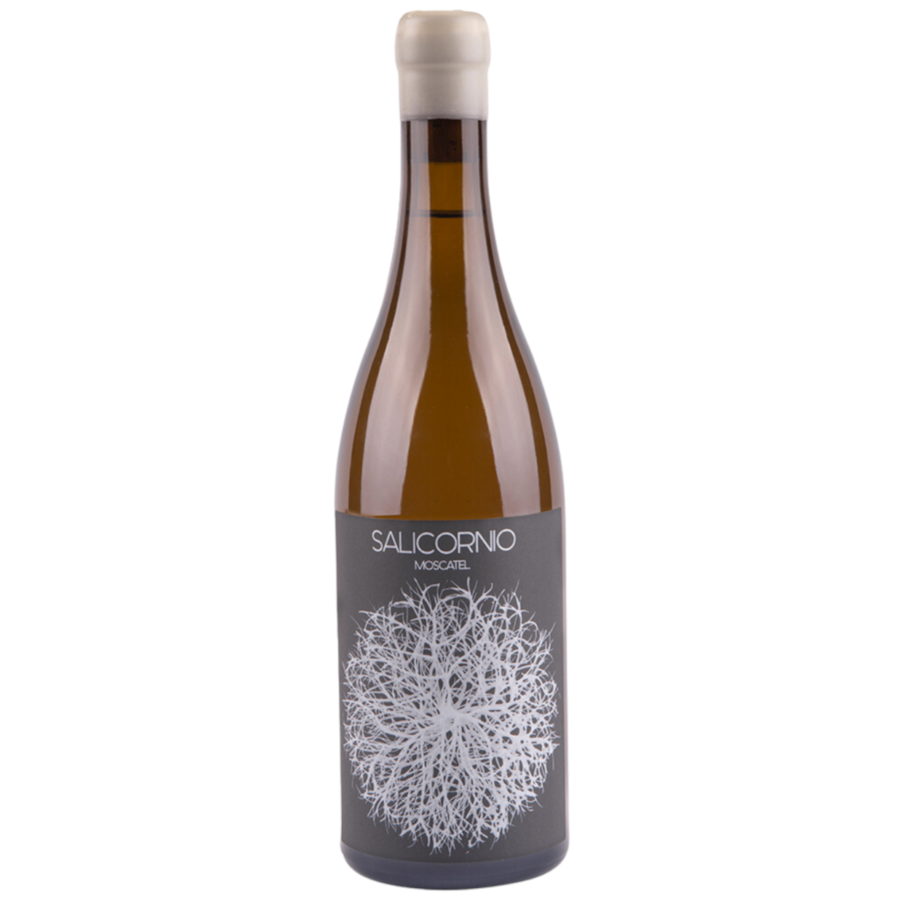 Product main image - 5001431a-5c92-4927-886a-734343f3f158