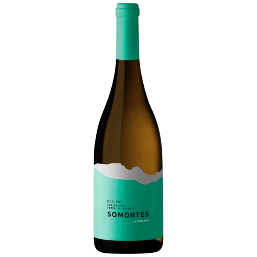 Product main image - 72a00093-ba21-4250-9738-72a684ec1eb3