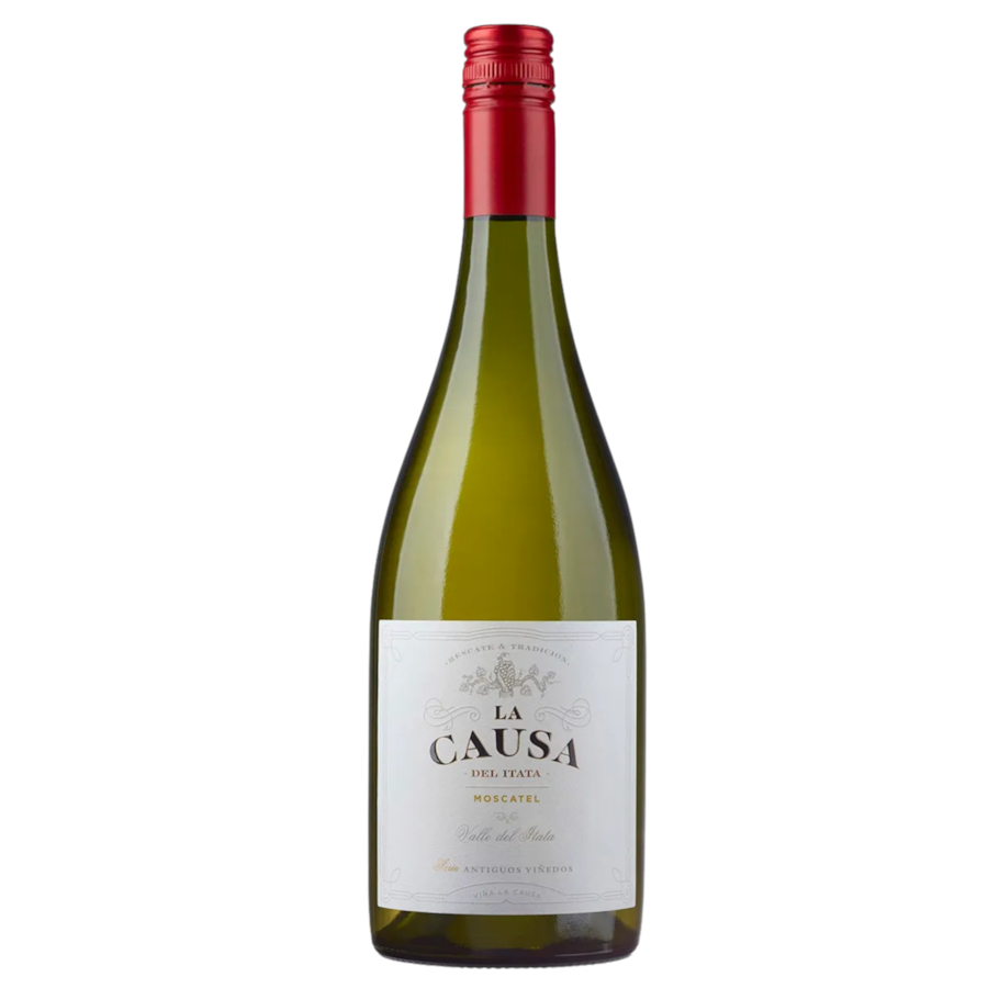 Product main image - 532b36b4-9420-414f-9941-132a6e951f66